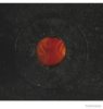 MERCE 0018220420 Indicator